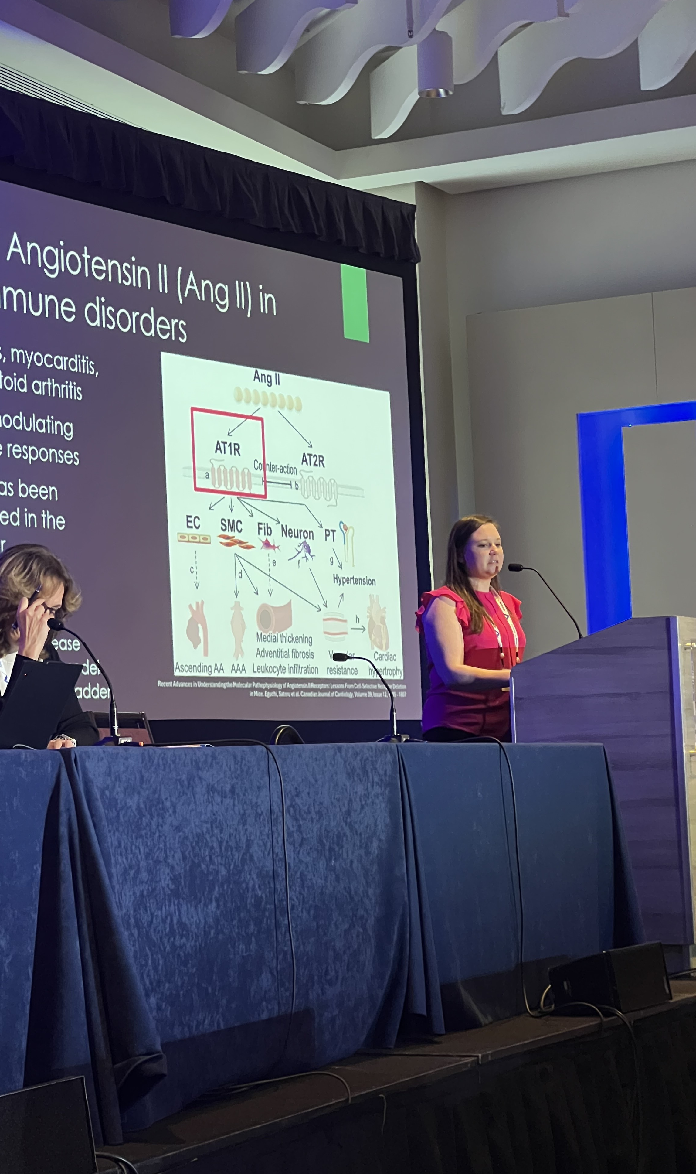 Gabbie Presents at SUFU 2026