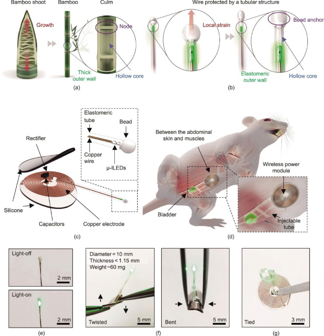 New paper from the lab